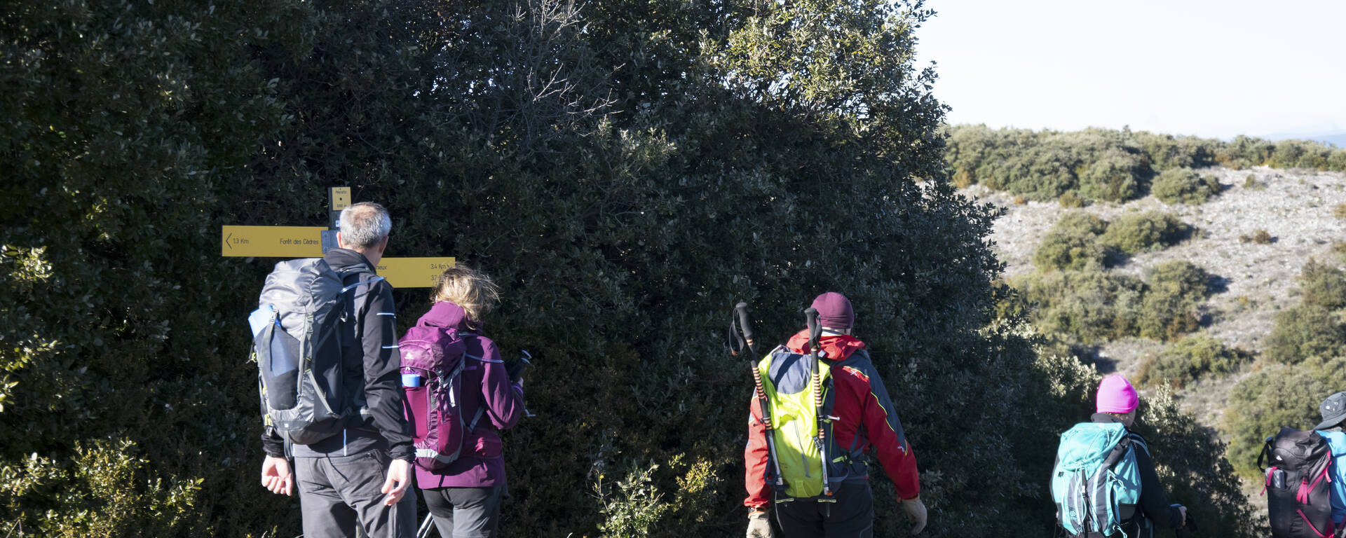  randonneurs | montagne | nature 