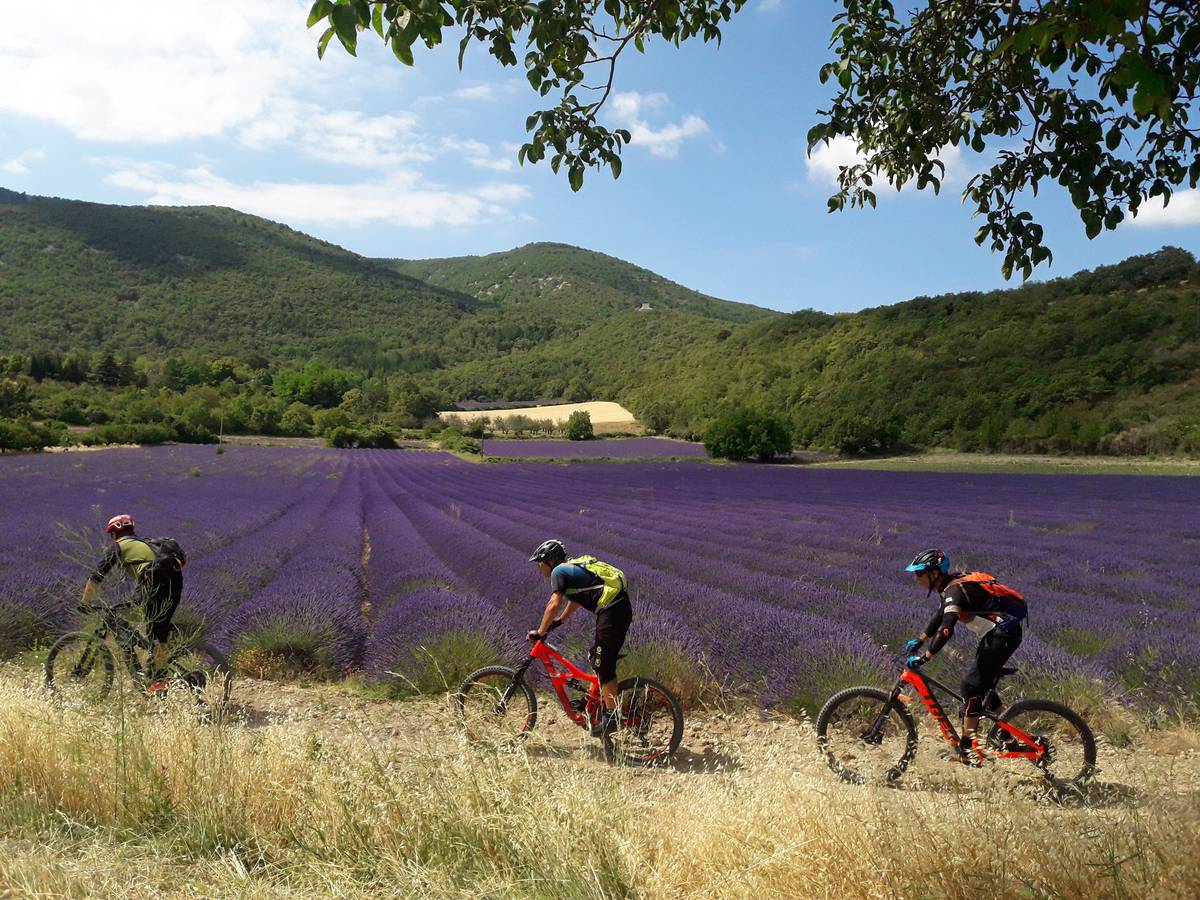 Nouvel espace VTT dans le Luberon