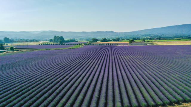 VIVRE UNE EXPÉRIENCE UNIQUE EN LUBERON