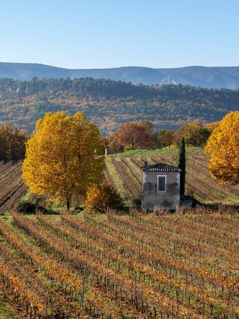 Séjour hors saison en Pays d'Apt Luberon 