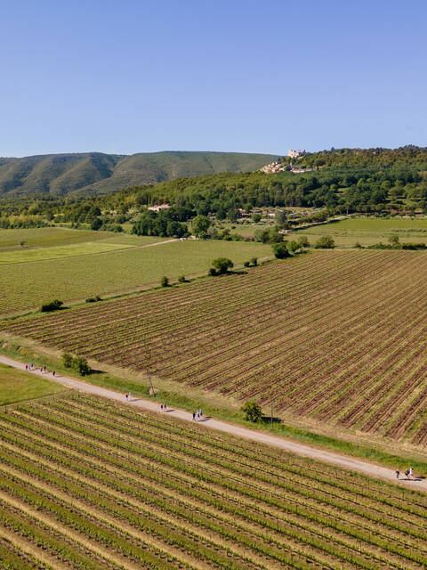 Vignoble Luberon