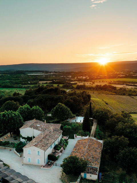 Domaine viticole | Chambres d'hôtes | Luberon