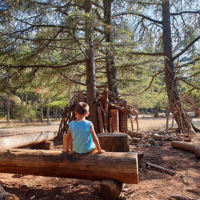 Forêt des Cèdres 