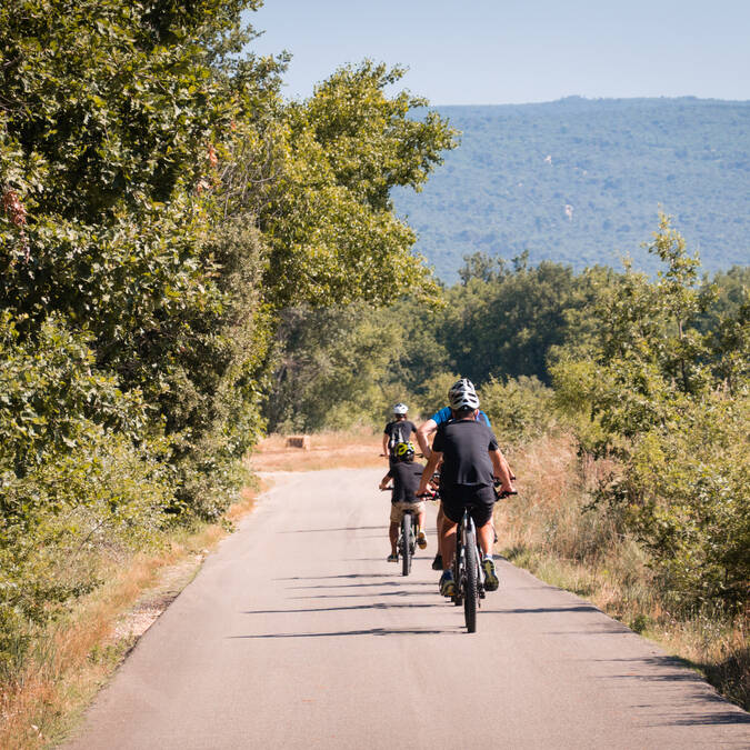 Vélo | chemin |paysage