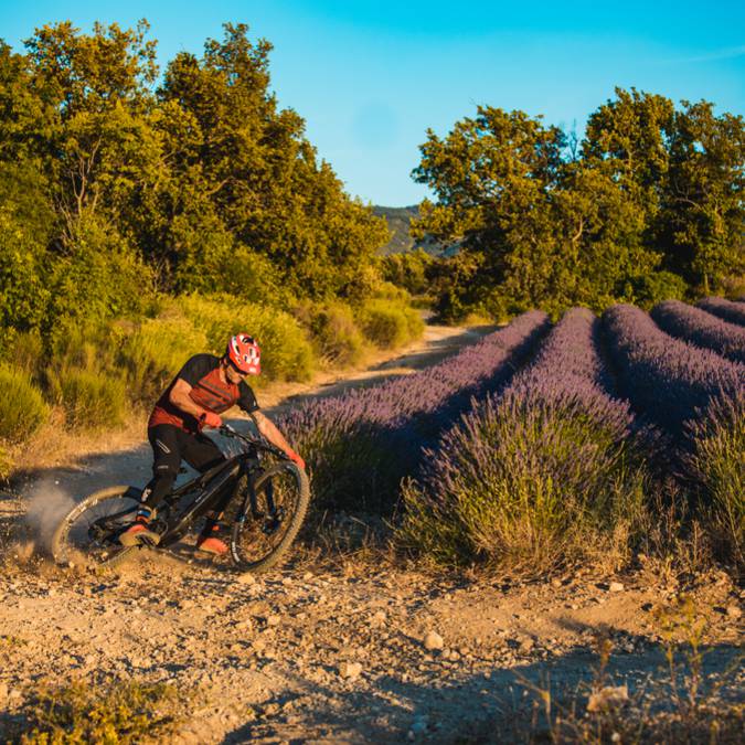 VTT Luberon | Parcours VTT | Lavande