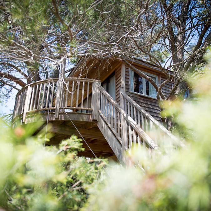 Cabane perchée | Chambres d'hôtes | Maison Valvert | Bonnieux