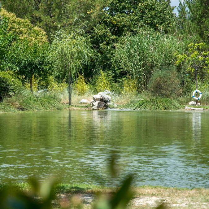 Pêche | Activité