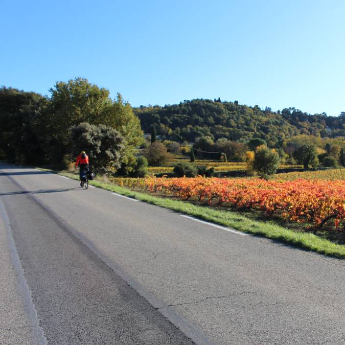 Cycliste sur route