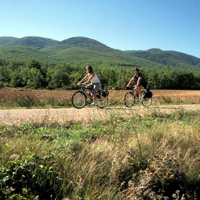 Vélo | Montagne | Route | Cyclotourisme 